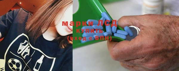 spice Богданович