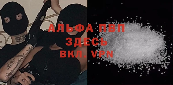 spice Богданович