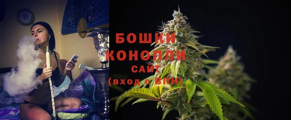 гашик Бронницы