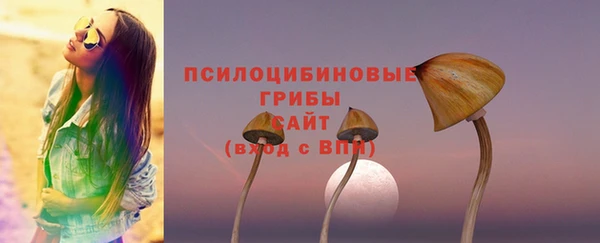 стаф Богородск