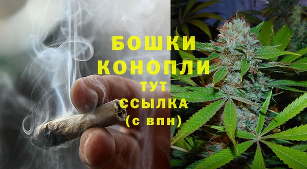 стаф Богородск