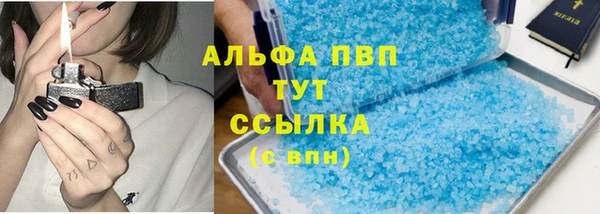 стаф Богородск