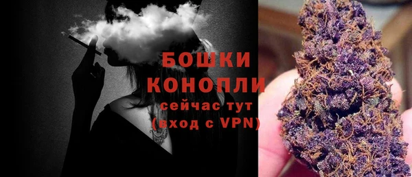 spice Богданович