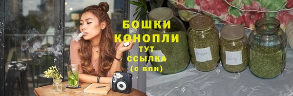 стаф Богородск
