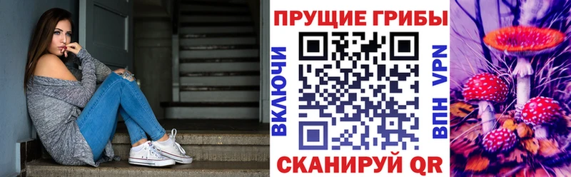 Галлюциногенные грибы мицелий  Дмитриев 