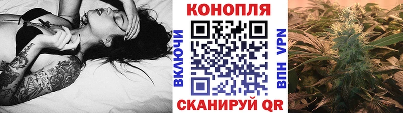 купить наркоту  Дмитриев  Бошки марихуана гибрид 